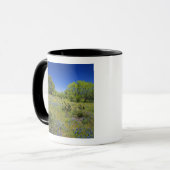 Texas, Texas Hill Country, Lage blaaskruid, Mok (Voorkant links)
