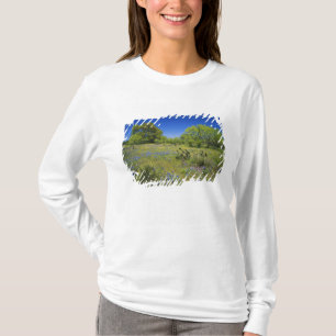 Texas, Texas Hill Country, Lage blaaskruid, T-shirt