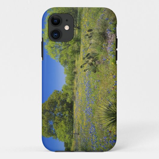 Texas, Texas Hill Country, Lage bladderpod, Case-Mate iPhone Case (Achterkant)