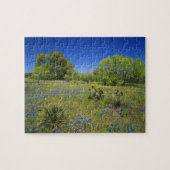 Texas, Texas Hill Country, Low Bladerpod Legpuzzel (Horizontaal)