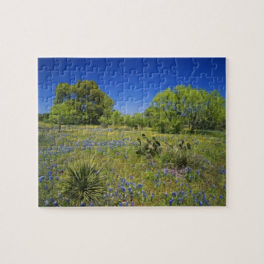 Texas, Texas Hill Country, Low Bladerpod Legpuzzel (Horizontaal)