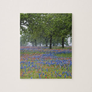 Texas, Texas Hill Country, Texas Paintborstel en Legpuzzel