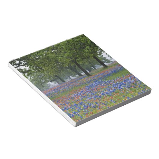 Texas, Texas Hill Country, Texas Paintborstel en Notitieblok (Schuin)