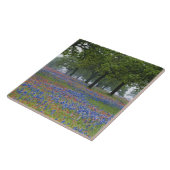 Texas, Texas Hill Country, Texas Paintborstel en Tegeltje (Zijkant)