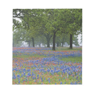 Texas, Texas Hill Country, Texas Paintbrush en Notitieblok
