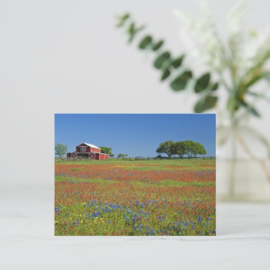 Texas, Texas Hill Country, Texas Penseel Briefkaart (Staand voorkant)