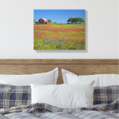 Texas, Texas Hill Country, Texas Penseel Canvas Afdruk (Insitu (Slaapkamer))