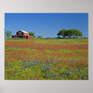 Texas, Texas Hill Country, Texas Penseel Poster