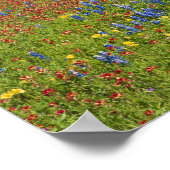 Texas, Texas Hill Country, Texas Penseel Poster (Hoek)