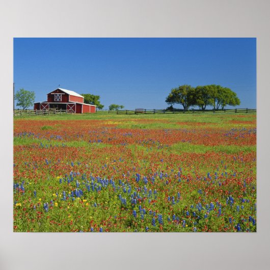 Texas, Texas Hill Country, Texas Penseel Poster (Voorkant)