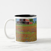 Texas, Texas Hill Country, Texas Penseel Tweekleurige Koffiemok (Links)