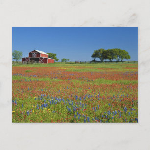Texas, Texas Hill Country, Texas verfkwast Briefkaart