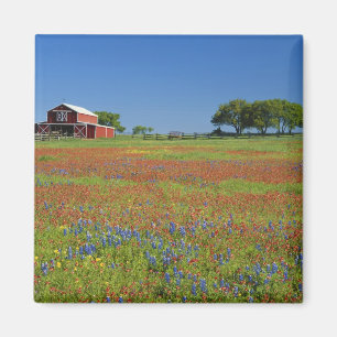 Texas, Texas Hill Country, Texas verfkwast Magneet