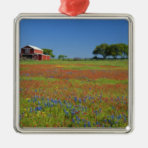 Texas, Texas Hill Country, Texas verfkwast Metalen Ornament