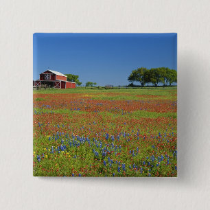 Texas, Texas Hill Country, Texas verfkwast Vierkante Button 5,1 Cm