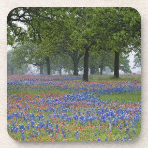 Texas, Texas Hill Country, Texaspenseel en Bier Onderzetter