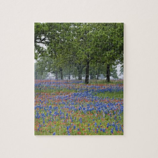 Texas, Texas Hill Country, Texaspenseel en Legpuzzel (Verticaal)