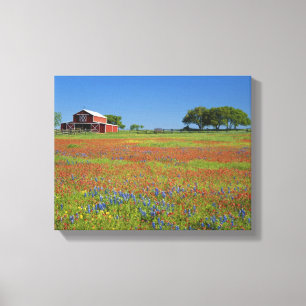Texas, Texas Hill Country, verfkwast van Texas Canvas Afdruk
