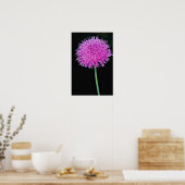 Texas Thistle (Cirsium texanum) bloemen Poster (Keuken)