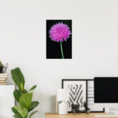 Texas Thistle (Cirsium texanum) bloemen Poster (Thuiskantoor)