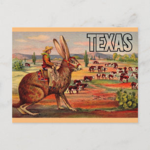 Texas Travel Greetings Briefkaart - Vintage Travel