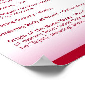 Texas, TX-Posters Poster (Hoek)