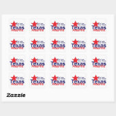 TEXAS VIERKANTE STICKER (Vel)