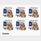 TEXAS VIERKANTE STICKER (Vel)