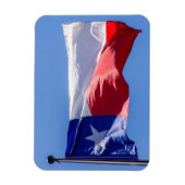 Texas-vlag Magneet (Verticaal)