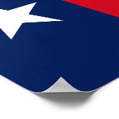 TEXAS-vlag - Poster (Hoek)