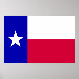 Texas-vlag Poster