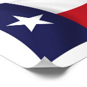 Texas Vlag Poster Print (Hoek)