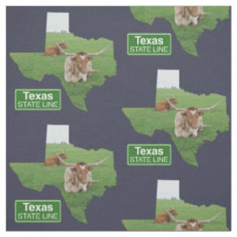 Texas Vorm Met Langhoorn Stier Staatsweg Bord 4 Stof