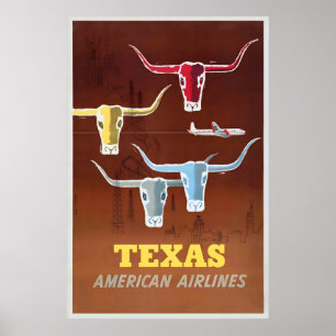 Texas VS Amerika Verenigde Staten Reisgids Poster