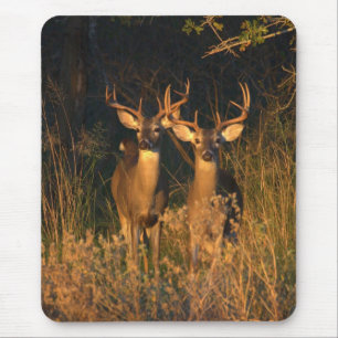 Texas Whitetails Muismat
