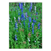 Texas Wild Flowers (Voorkant)