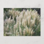 Texas Wild Flowers Briefkaart (Voorkant)
