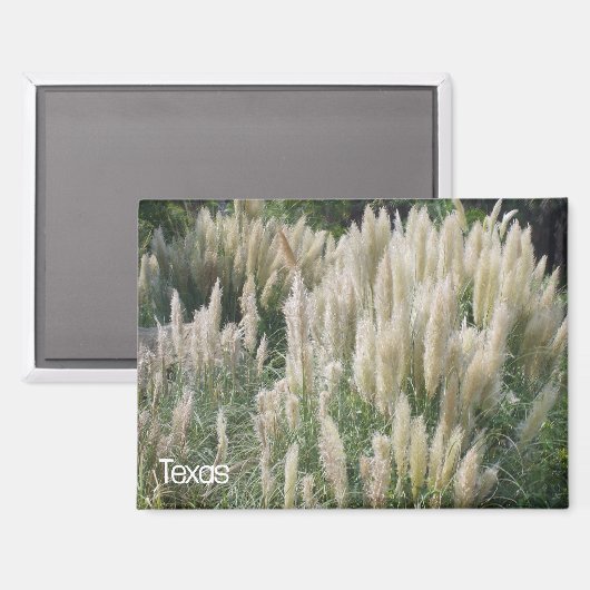 Texas Wild Flowers Magneet (Voorkant / Achterkant)
