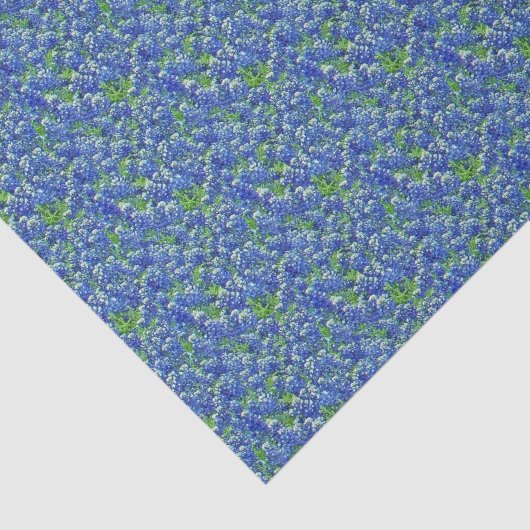 Texas Wildblokpapier Tissuepapier (Detail)