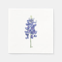 Texas Wilde Bloem Bluebonnet