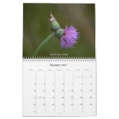 Texas Wildebloemen Kalender (Jan 2027)