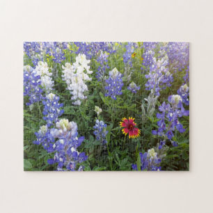 Texas Wildflower 10x14 Puzzle Legpuzzel