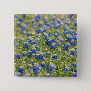Texas Wildflower Bluebonnets Digital Painting Vierkante Button 5,1 Cm
