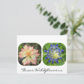 Texas Wildflower Briefkaart (Staand voorkant)