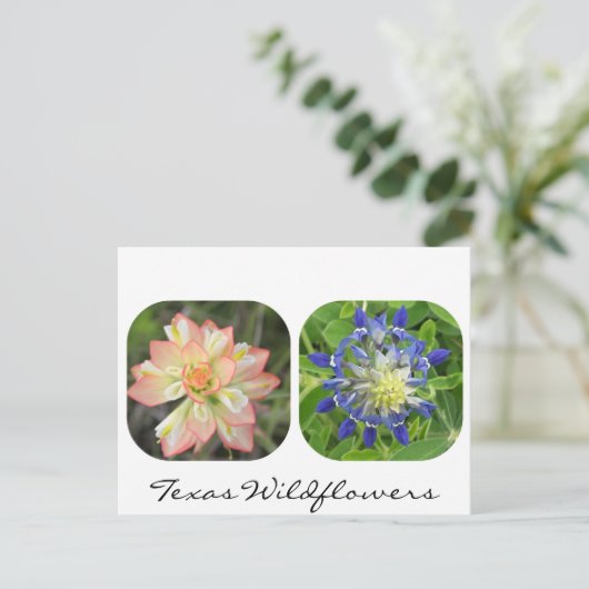 Texas Wildflower Briefkaart (Staand voorkant)