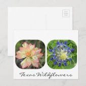 Texas Wildflower Briefkaart (Voorkant / Achterkant)