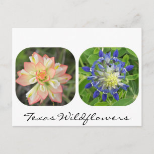 Texas Wildflower Briefkaart