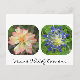 Texas Wildflower Briefkaart