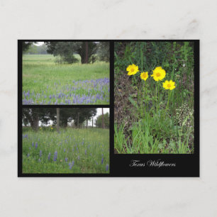 Texas Wildflower Briefkaart