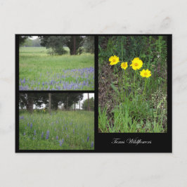 Texas Wildflower Briefkaart